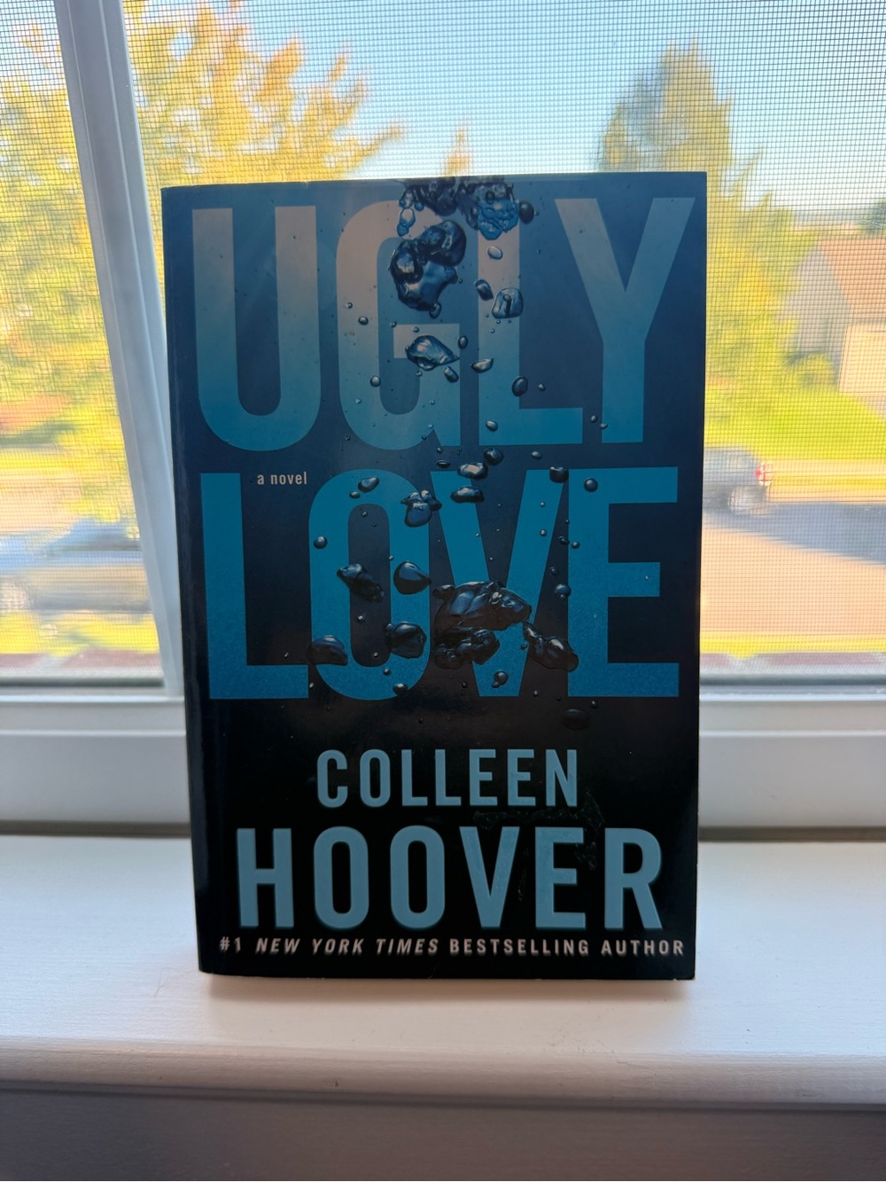 Ugly Love - Blue Cover Paperback Novel